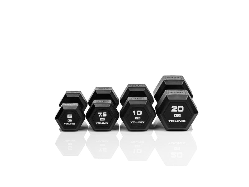 Technogym hexagon online dumbbells